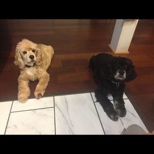 Meet your Posher, Kathleen